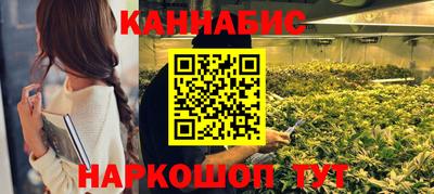 сатива Ирбит