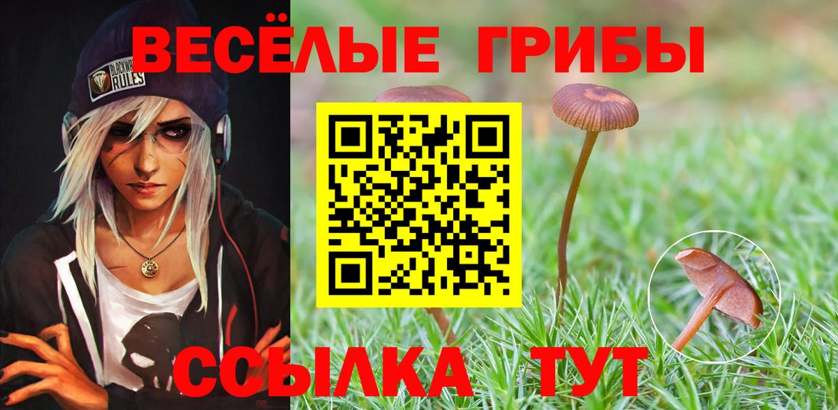 Галлюциногенные грибы Cubensis Касимов